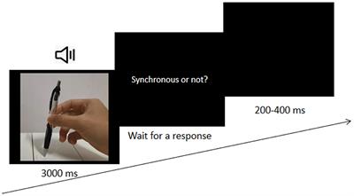 Audio-Visual Causality and Stimulus Reliability Affect Audio-Visual Synchrony Perception